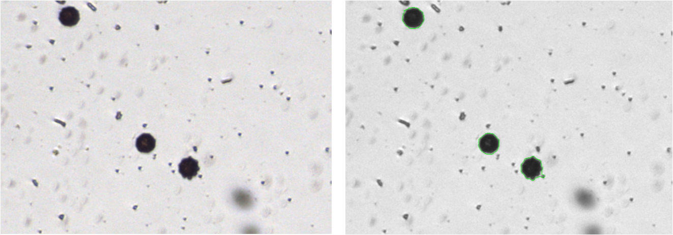 X2-Algae BF counting-1.png X2-Algae BF counting-1.png
